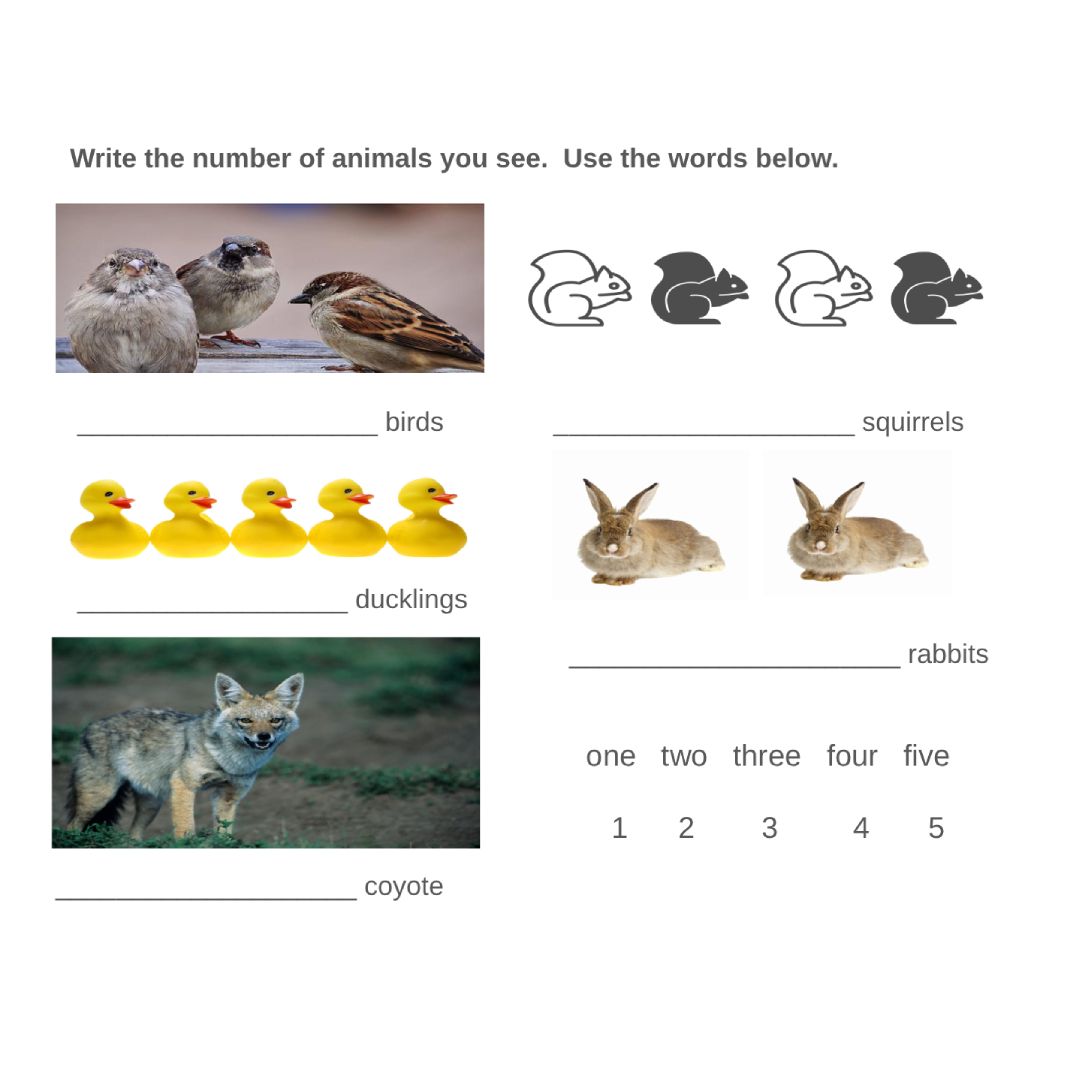 Practice Counting Animals - Activity for The Head In The Clouds Duckling